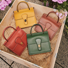 Luxurious Handbag of Your Choice