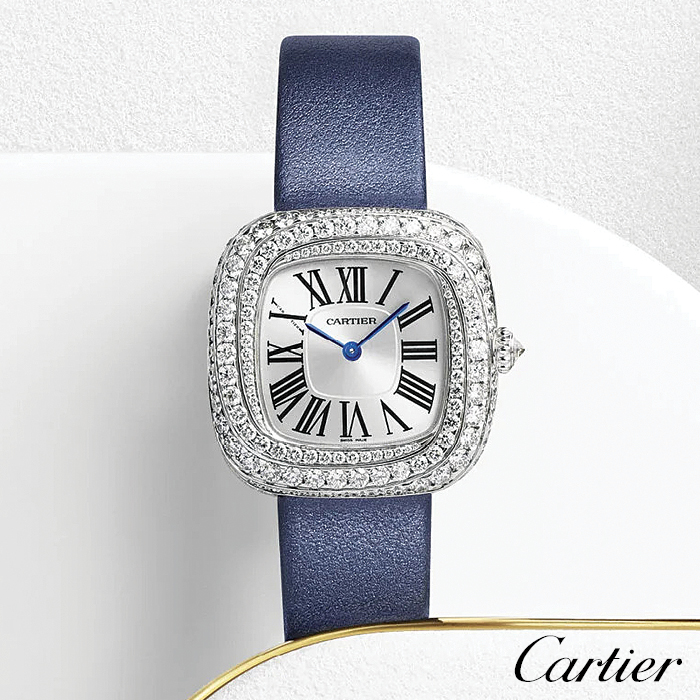 Cartier Watch