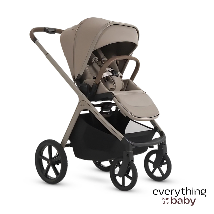 Deluxe Baby Stroller of Your Choice